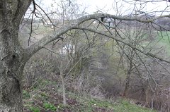 Ukr 079